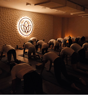 Vidya Studio - Belvedere